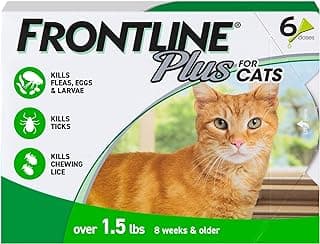 FRONTLINE Plus Flea & Tick Spot Treatment for Cat & Kitten (Green) Count of 6