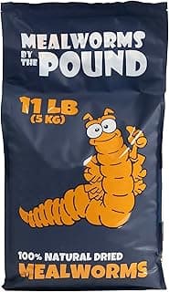 MBTP Bulk Dried Mealworms - Treats for Chickens & Wild Birds (11 Lbs)