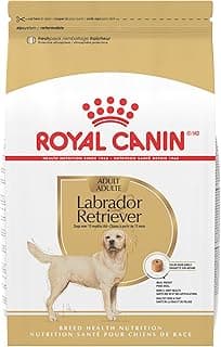Royal Canin Breed Health Nutrition Labrador Retriever Adult Dry Dog Food, 17 lb Bag