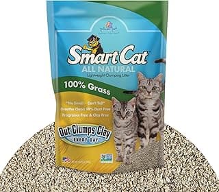 SmartCat All Natural Clumping Cat Litter, 10 Pound (160oz 1 Pack) - Alternative to Clay and Pellet Litter - Chemical and 99% Dust Free - Unscented and Lightweight
