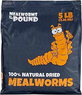 MBTP Bulk Dried Mealworms - Treats for Chickens & Wild Birds (5 Lbs)