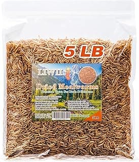 Dried Mealworms - 5 LBS - 100% Natural Non-GMO High Protein - Bulk Mealworms for Wild Birds, Chickens, Pet Treats & Reptile Food
