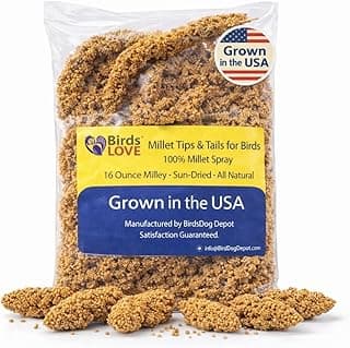 Birds LOVE® Millet Tips & Tails for Birds – Premium Spray Millet Treat, Grown in the USA – Natural & Healthy Bird Food for Parakeets, Cockatiels, Budgies, Lovebirds, Finches, Canaries & Parrots – 1 lb