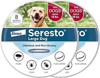 Seresto Large Dog Vet-Recommended Flea & Tick Treatment & Prevention Collar for Dogs Over 18 lbs. | 2-Pack