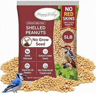 Happy Wings Shelled Peanuts Seeds Wild Bird Food - 5 Pounds I No Grow Seed I Bird Seed for Wild Birds