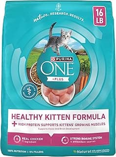 Purina ONE High Protein, Natural Dry Kitten Food, +Plus Healthy Kitten Formula - 16 lb. Bag