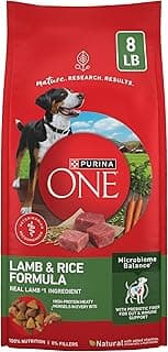 Purina ONE Dry Dog Food Lamb and Rice Formula - 8 lb. Bag