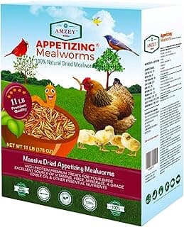 Amzey Dried Mealworms 11 LBS - 100% Natural for Chicken Feed, Bird Food, Fish Food, Turtle Food, Duck Food, Reptile Food, Non-GMO, No Preservatives, High Protein and Nutrition