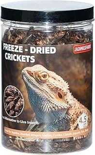 Freeze Dried Crickets – 4.5 Oz High Protein Freeze Dried Crickets, Food for Reptiles, Bearded Dragons, Lizards, Geckos, Birds, Fish,Hedgehogs, Bearded Dragon Food