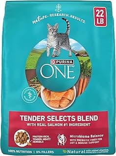 Purina ONE Natural Dry Cat Food, Tender Selects Blend with Real Salmon - 22 lb. Bag