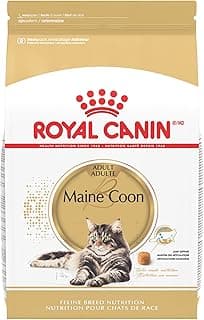 Royal Canin Feline Breed Nutrition Maine Coon Adult Dry Cat Food, 6 lb Bag