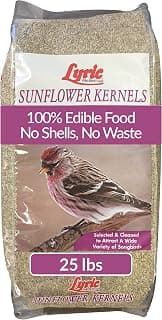 Lyric Sunflower Kernels Wild Bird Seed for Outside Feeders, No Waste Bird Food, Attracts Finches and More, 25 lb Bag