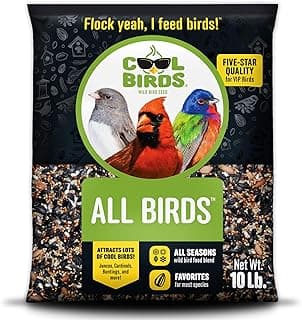 Cool Birds All Birds Wild Bird Seed – 10 lb. Classic Blend with Black Oil Sunflower, White Millet, Safflower, Peanuts & Sunflower Hearts – Balanced Bird Food for Outside Feeders