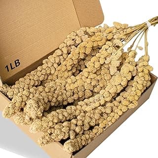 Spray Millet Treat for Birds Parakeets, Natural Sun-Dried Birds Millet for Cockatiel, Budgie, Finches, Parrots, Hamster